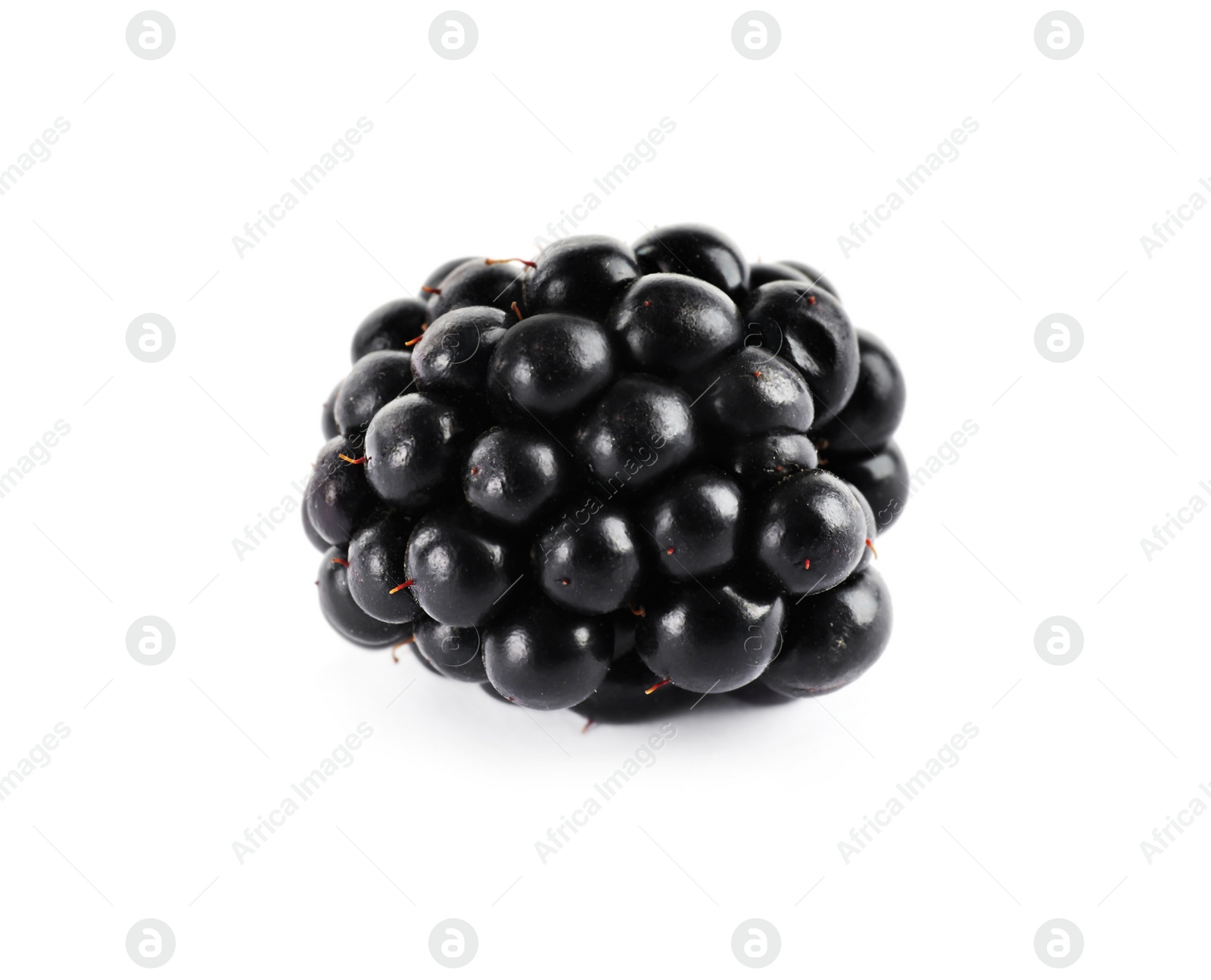 Photo of Beautiful tasty ripe blackberry on white background