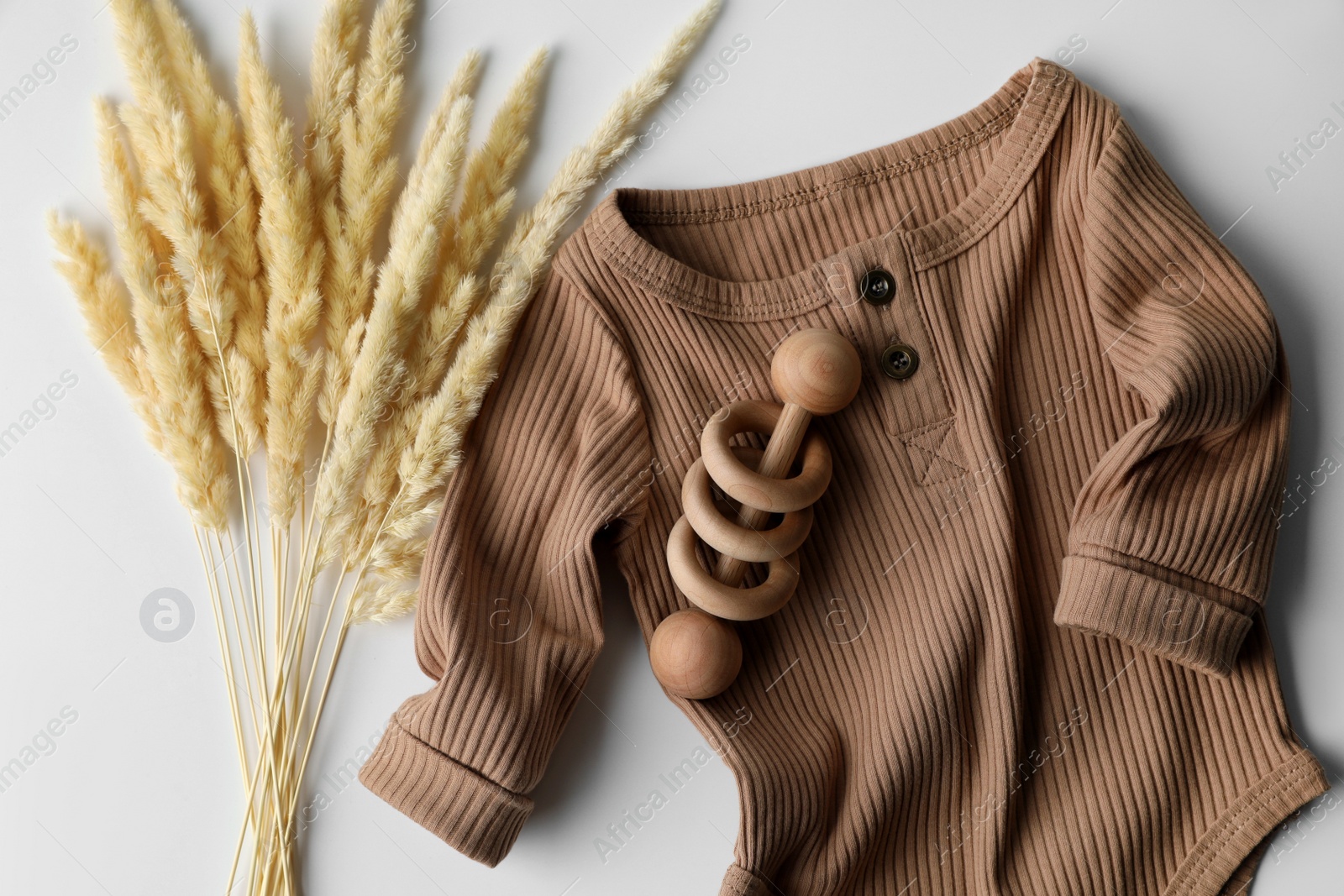 Photo of Baby bodysuit, toy and spikelets on white background, top view