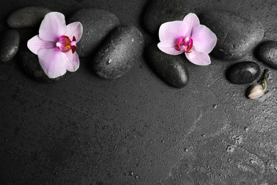 Stones with orchid flowers and space for text on wet black background, flat lay. Zen lifestyle