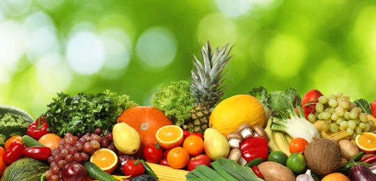 Image of Assortment of fresh organic vegetables and fruits on blurred green background. Banner design 