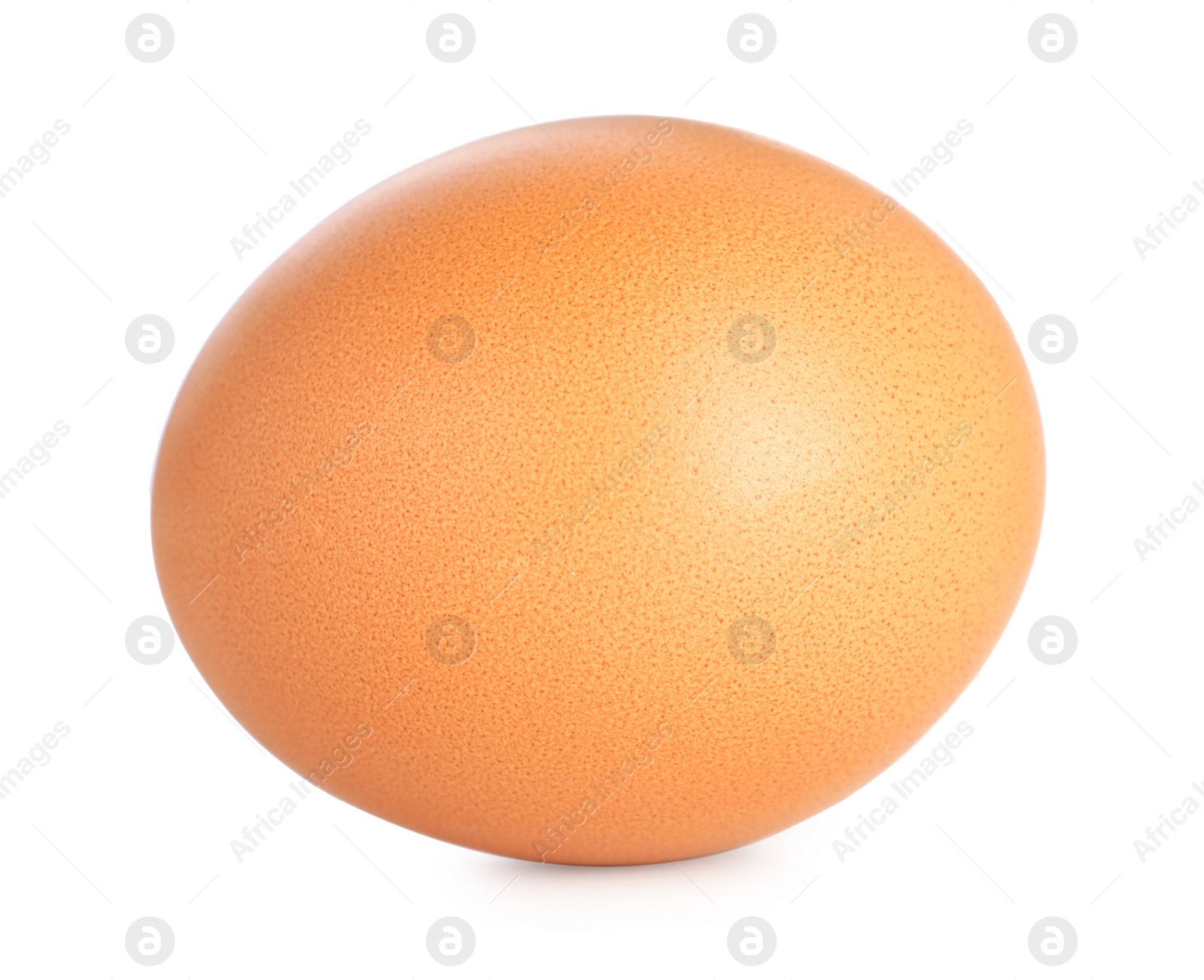 Photo of One raw chicken egg isolated on white