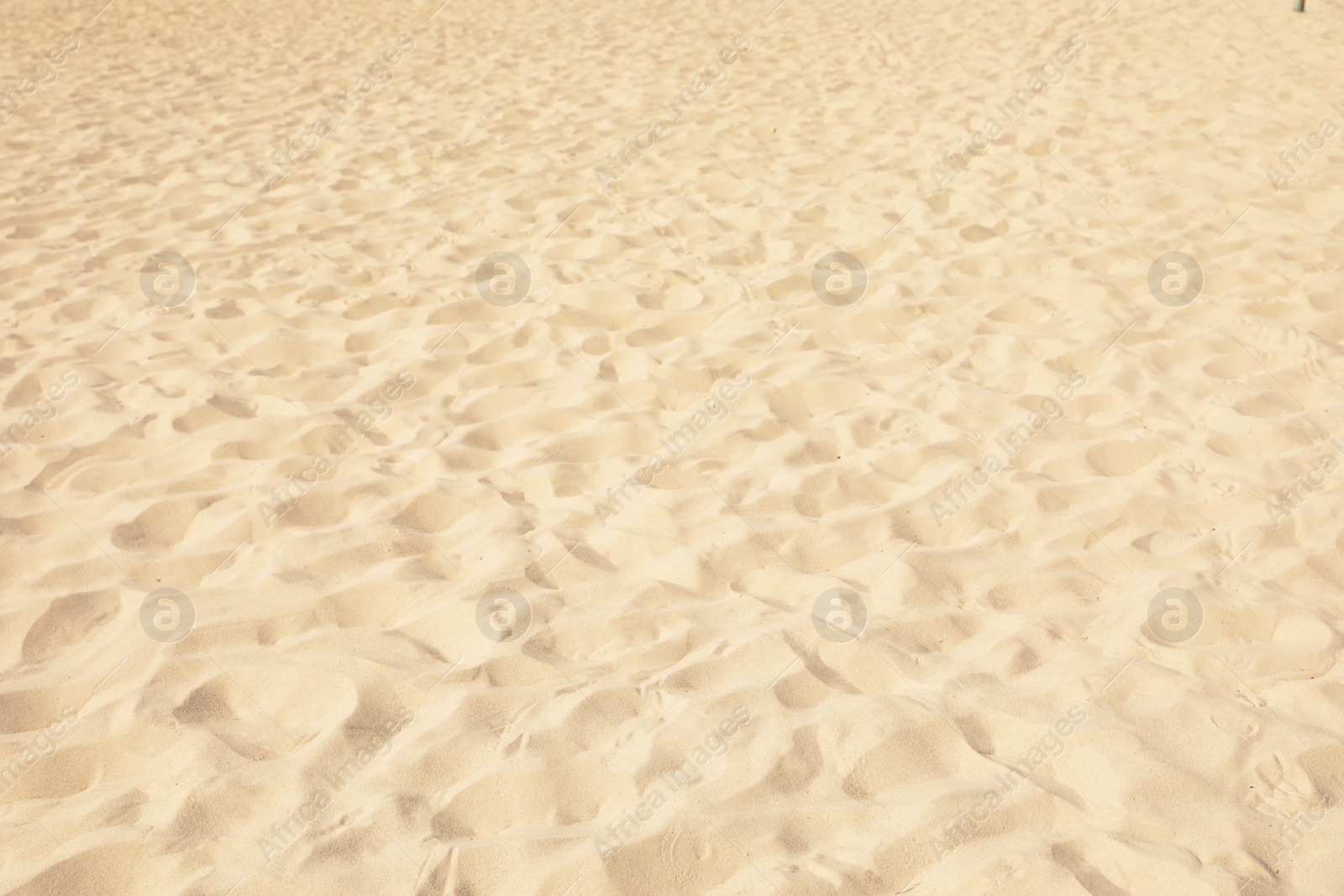 Photo of Golden beach sand on sunny day as background