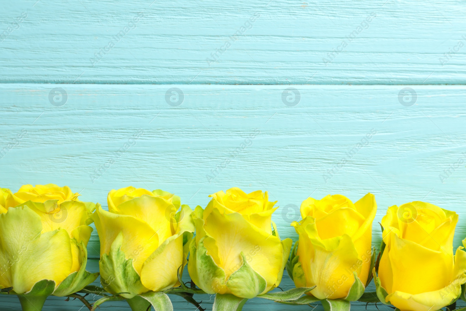 Photo of Flat lay composition with beautiful blooming flowers on wooden background