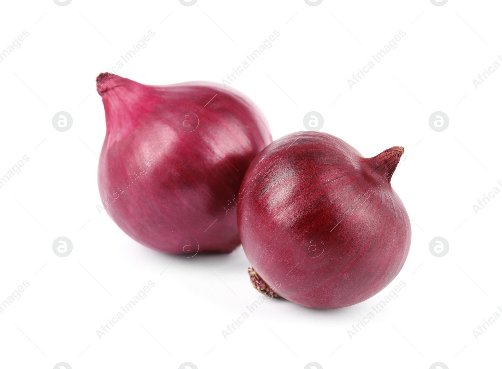 Photo of Fresh whole red onions on white background