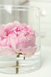 Photo of Beautiful pink peony bud in vase on white table, closeup