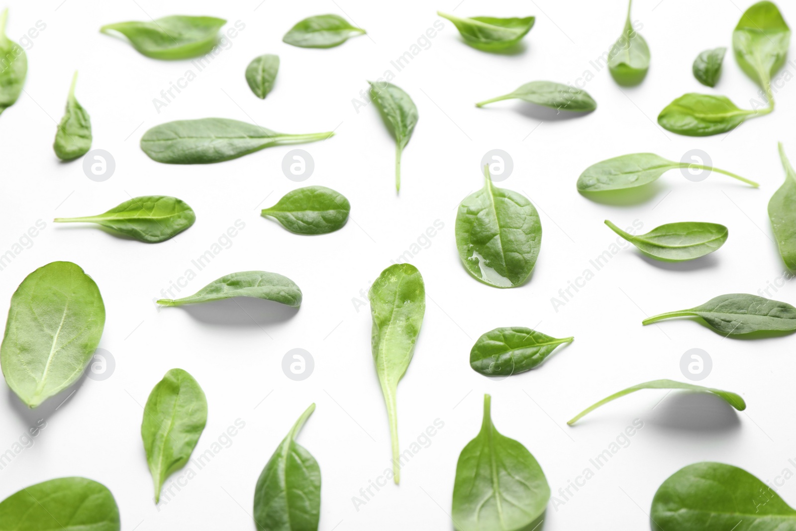 Photo of Fresh green healthy spinach leaves with water drops on white background