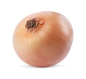 One yellow fresh onion isolated on white