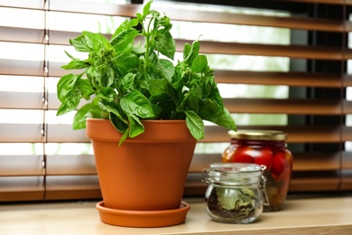 Photo of Green basil, pickled tomatoes and spices on window sill indoors