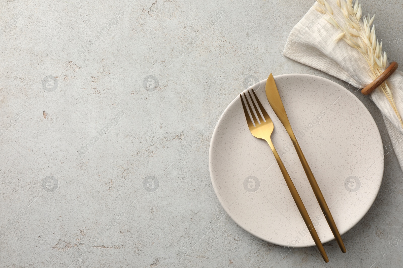 Photo of Stylish setting with cutlery, napkin, dry branch and plate on light table, top view. Space for text