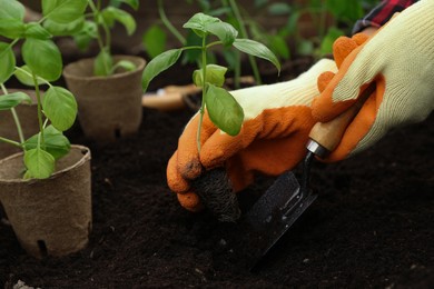 Photo of Woman planting seedling in soil outdoors, closeup