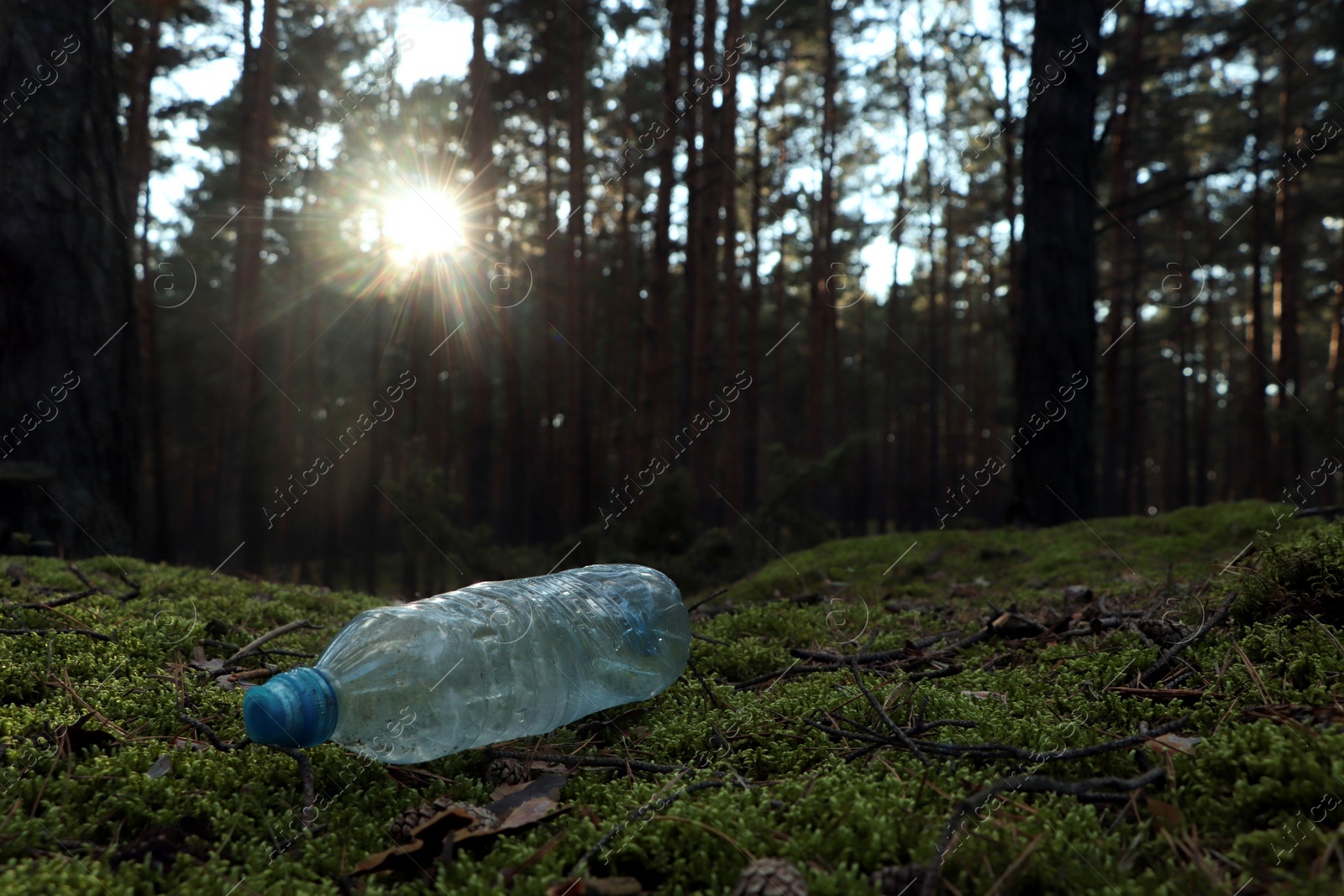 Photo of Used plastic bottle on grass in forest, space for text. Recycling problem