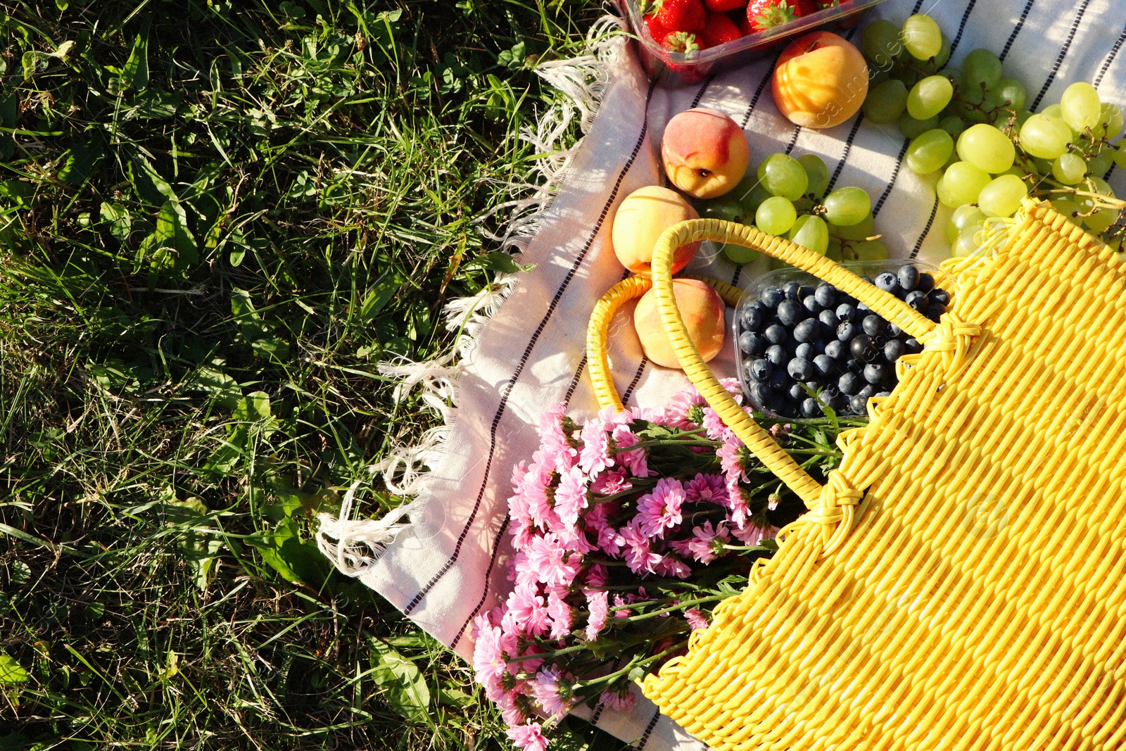 Photo of Yellow wicker bag with beautiful flowers, fruits and berries on picnic blanket outdoors, top view