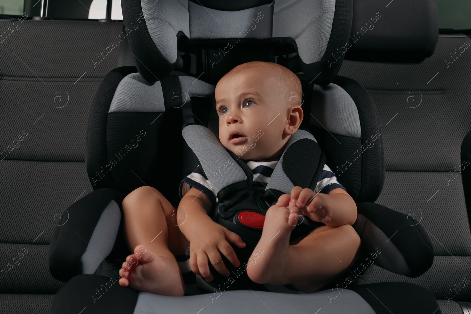 Photo of Cute little boy sitting in child safety seat inside car