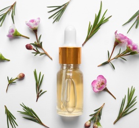 Photo of Flat lay composition with bottle of natural tea tree oil on white background