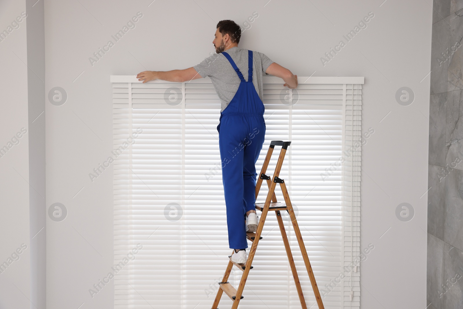 Photo of Worker in uniform installing horizontal window blinds on stepladder indoors, back view