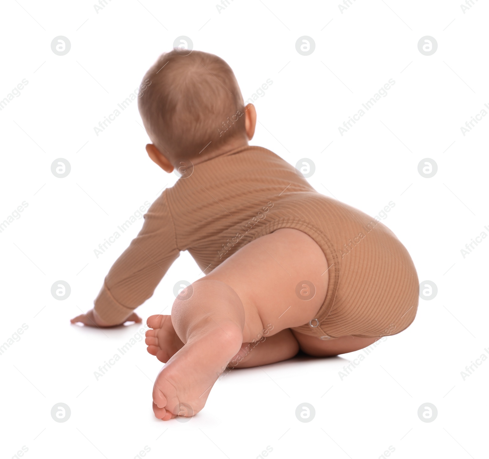 Photo of Cute little baby crawling on white background, back view