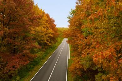 Image of Aerial view of road going through beautiful autumn forest