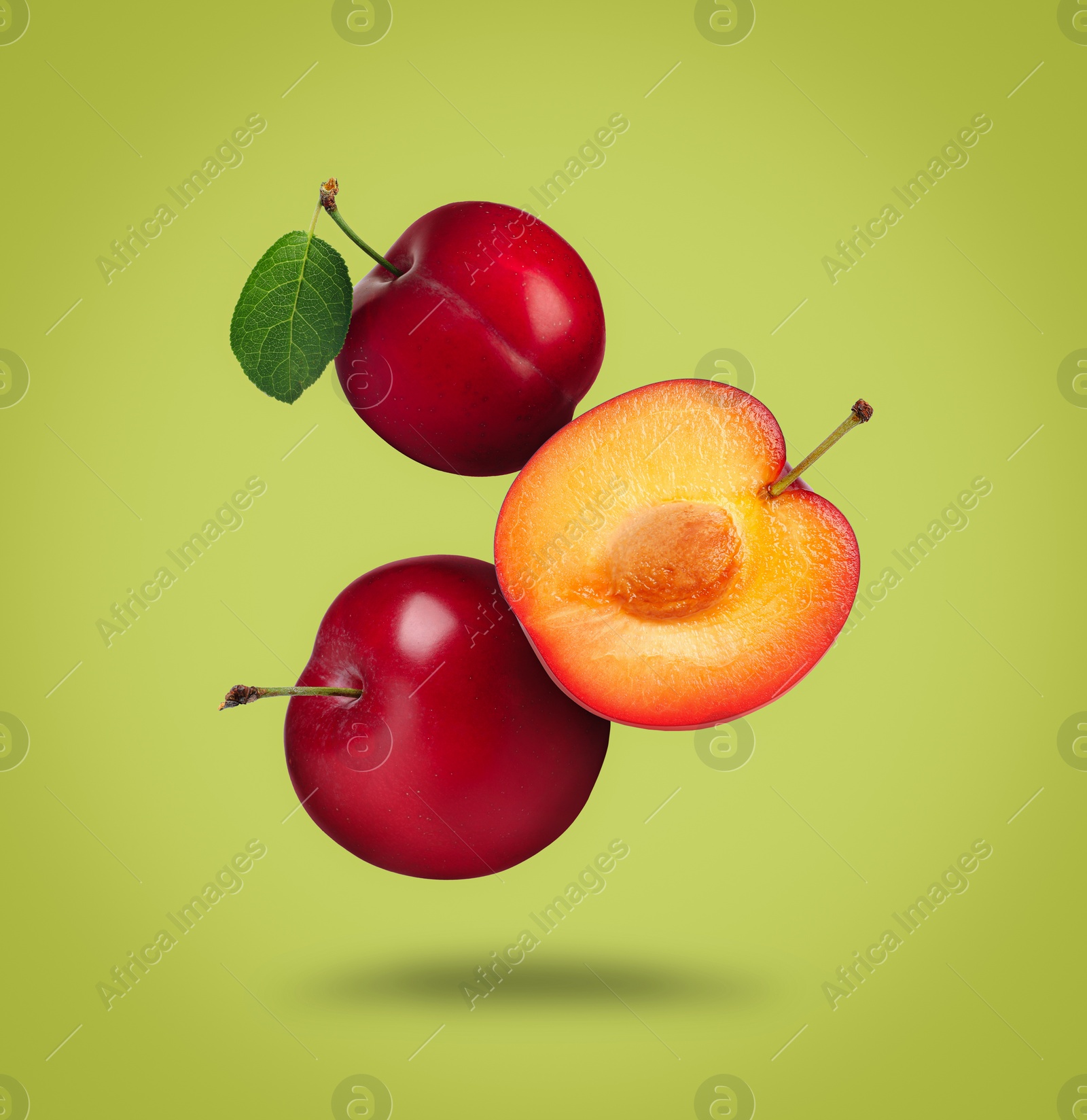 Image of Many fresh cherry plums falling on yellow green background