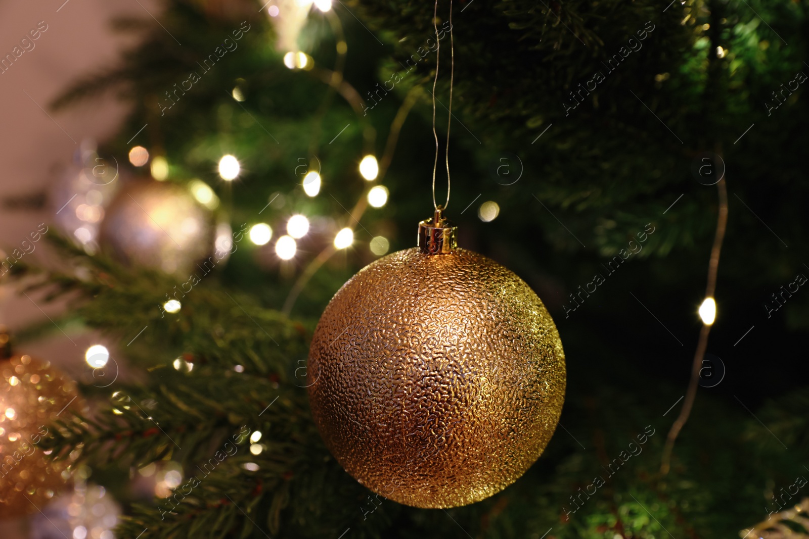 Photo of Beautiful Christmas ball hanging on fir tree branch, closeup