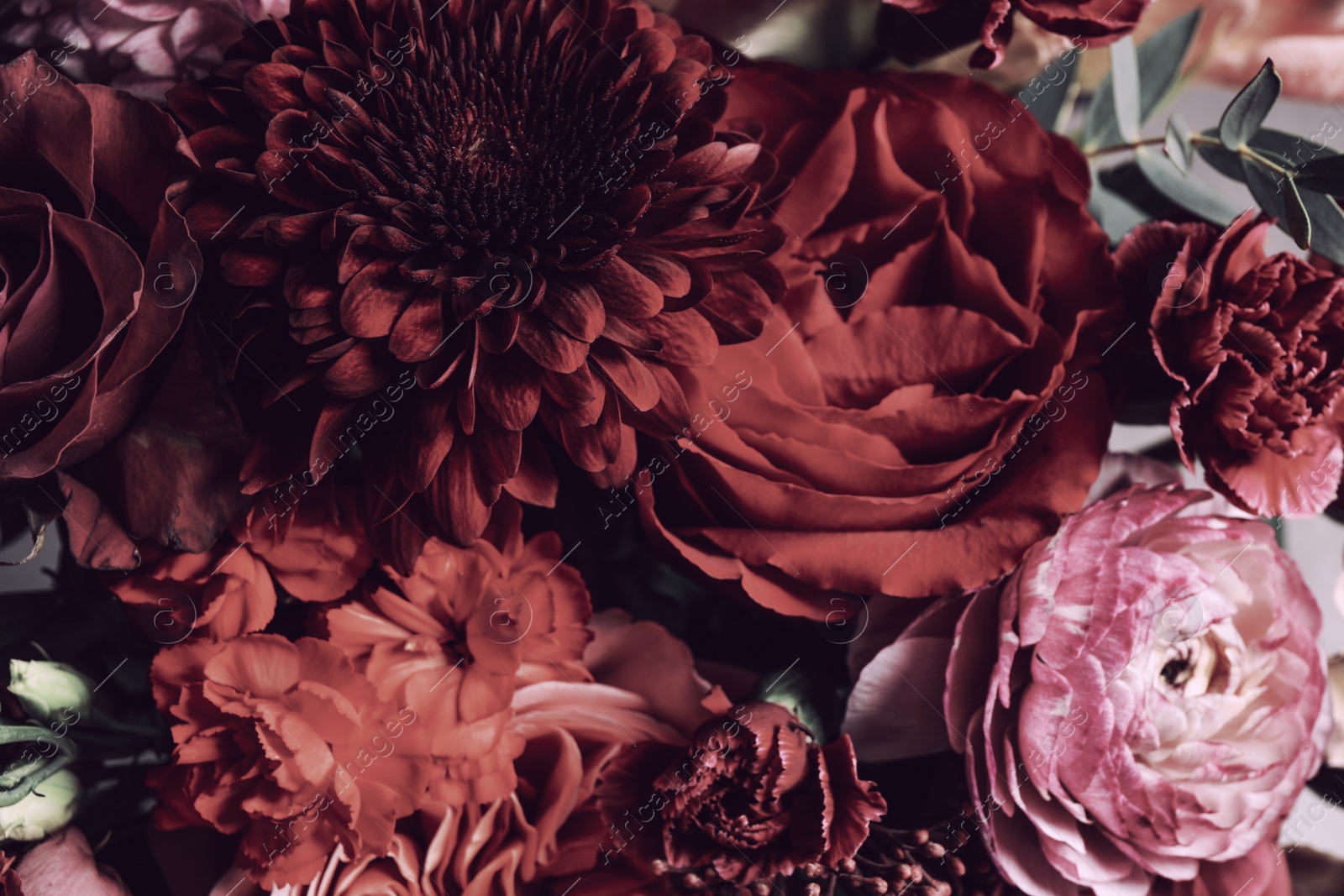 Photo of Beautiful bouquet of different flowers, closeup. Floral card design with dark vintage effect