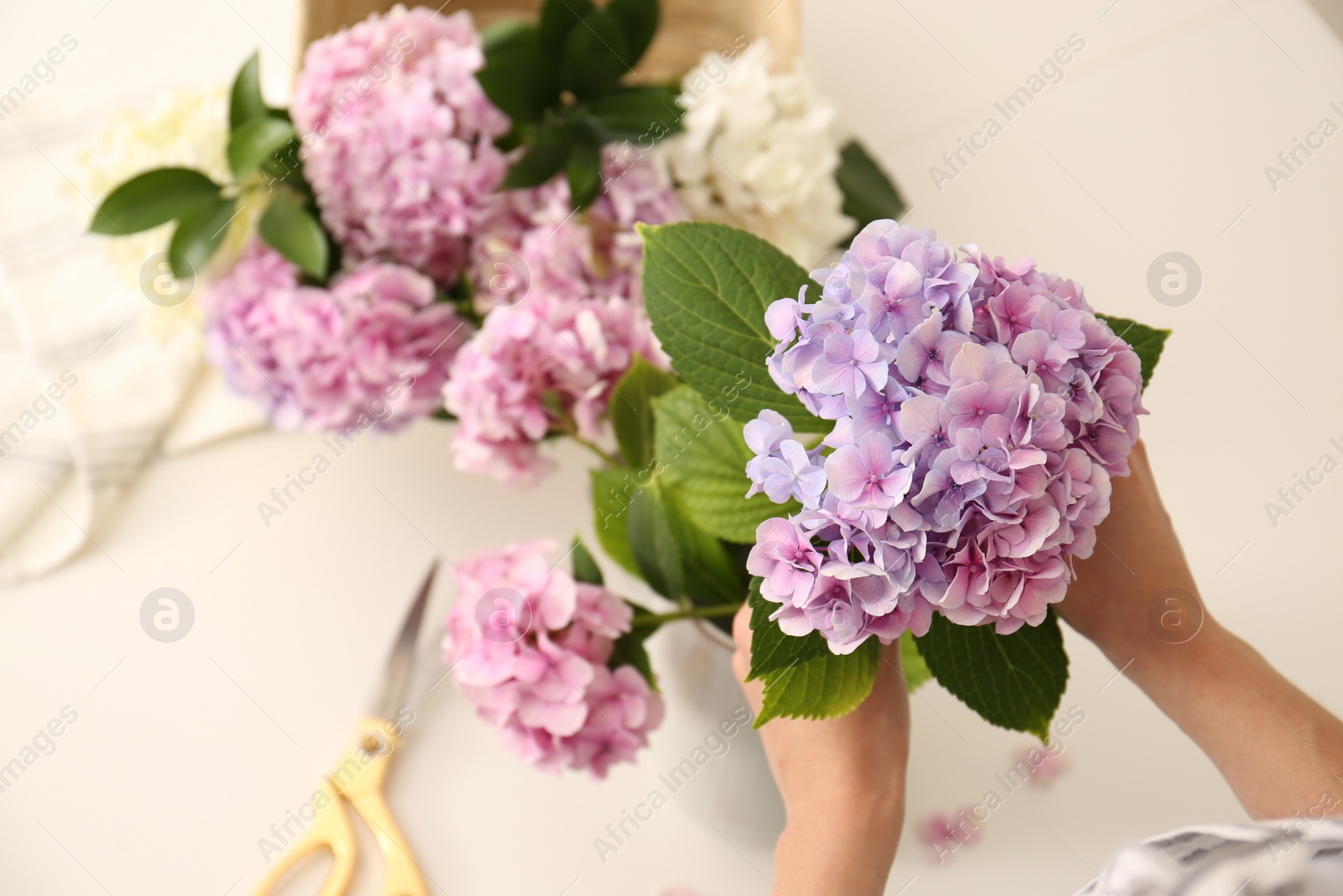 Photo of Woman making bouquet with beautiful hydrangea flowers indoors, closeup. Interior design element