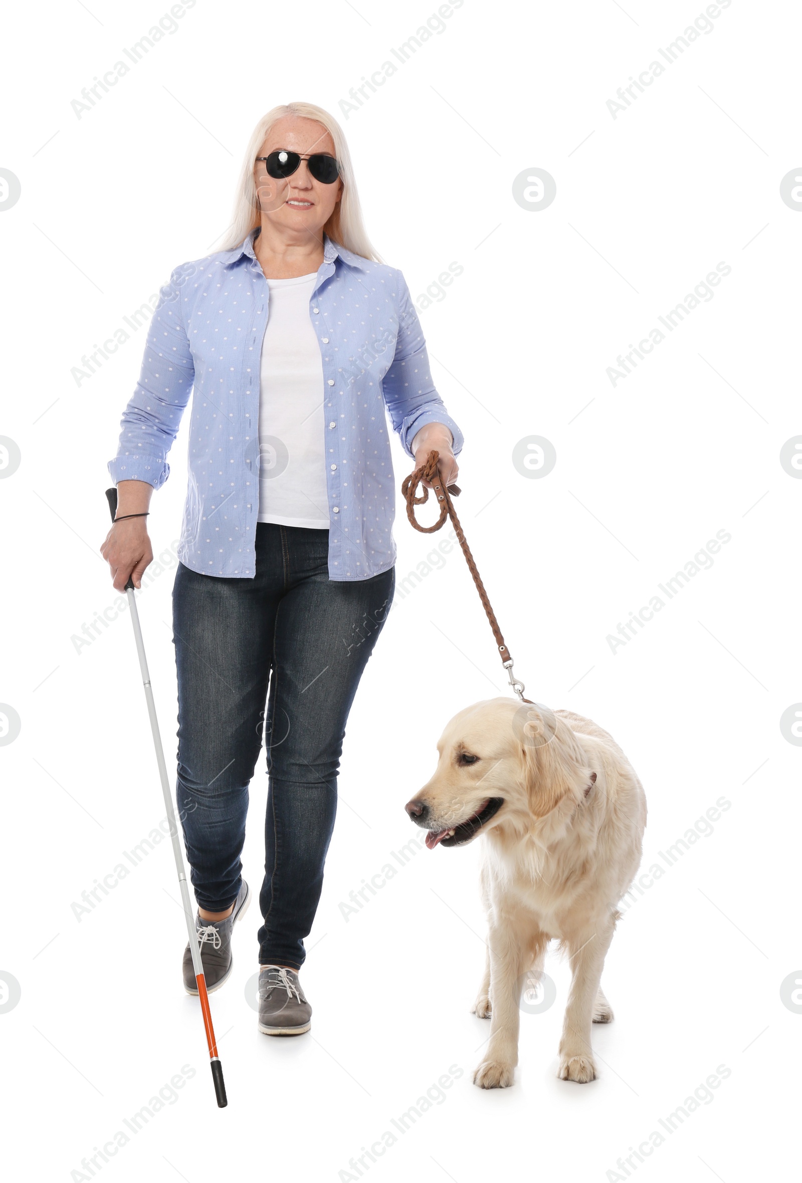 Photo of Blind person with long cane and guide dog on white background