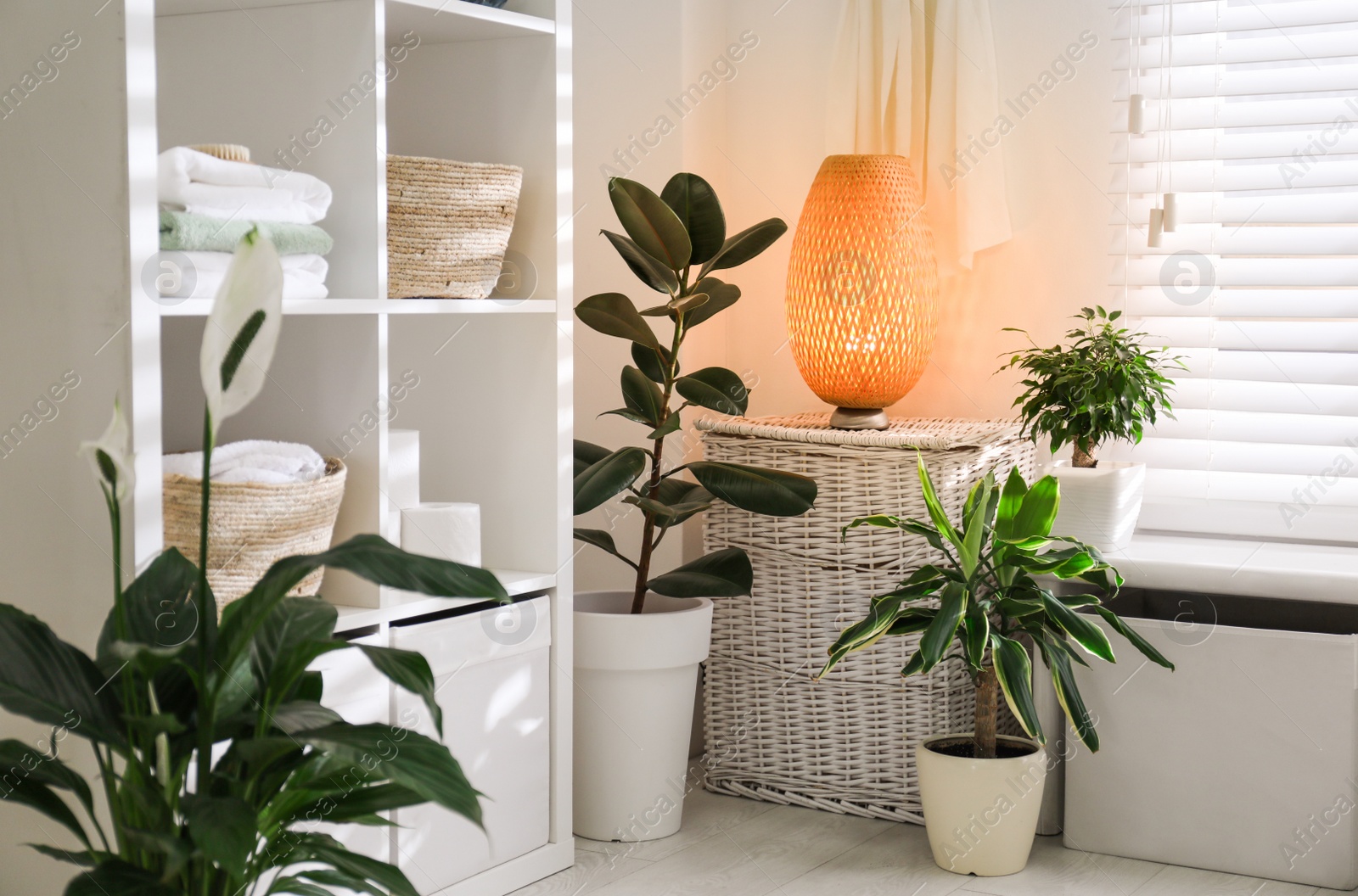 Photo of Beautiful green plants in elegant modern bathroom. Interior design