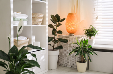 Photo of Beautiful green plants in elegant modern bathroom. Interior design