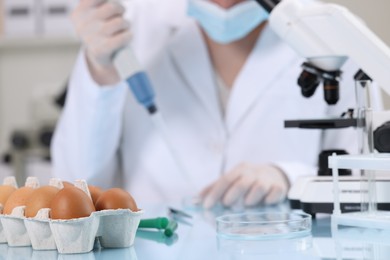 Quality control. Food inspector working in laboratory, focus on eggs