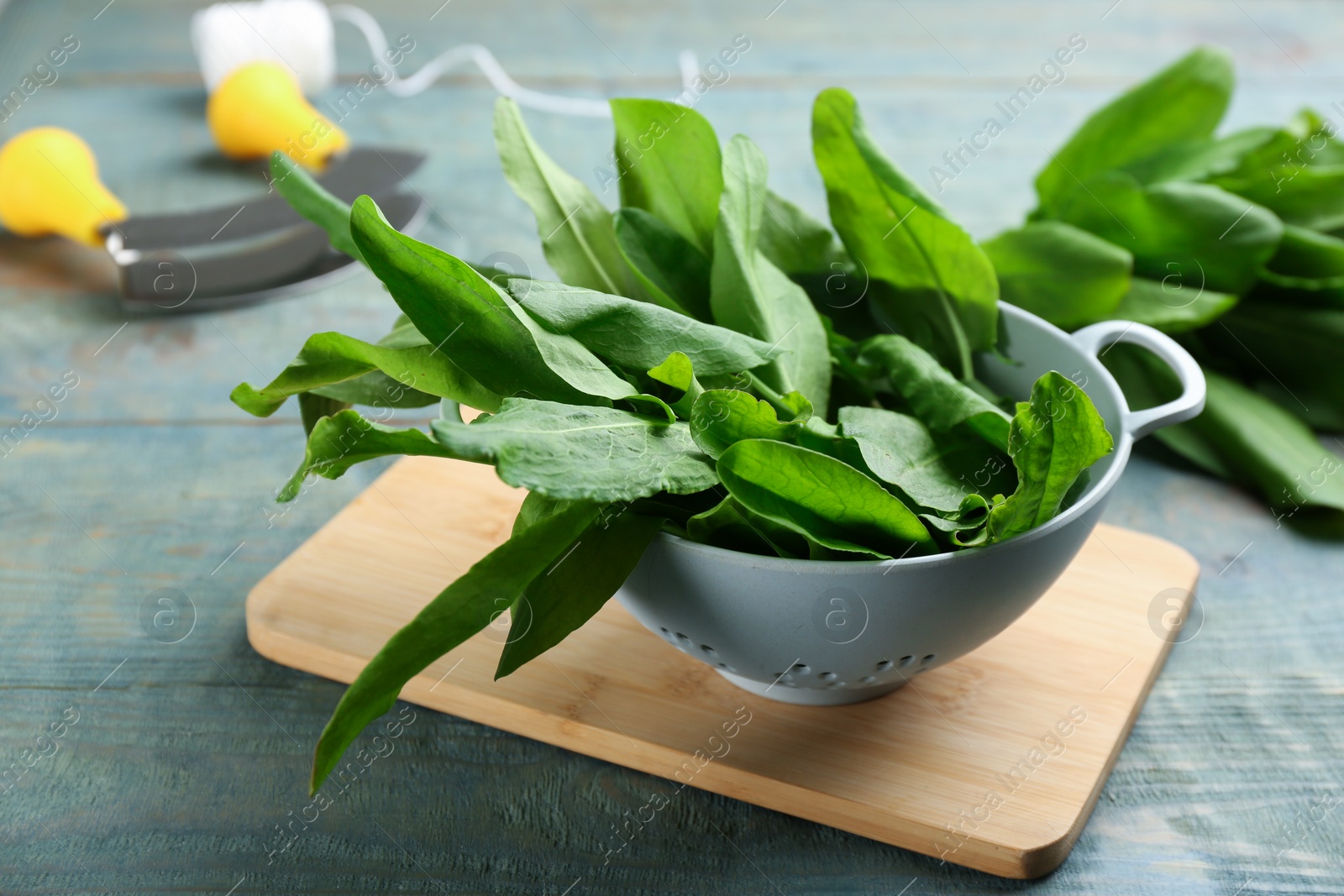 Photo of Fresh green sorrel leaves in colander on light blue wooden table, closeup