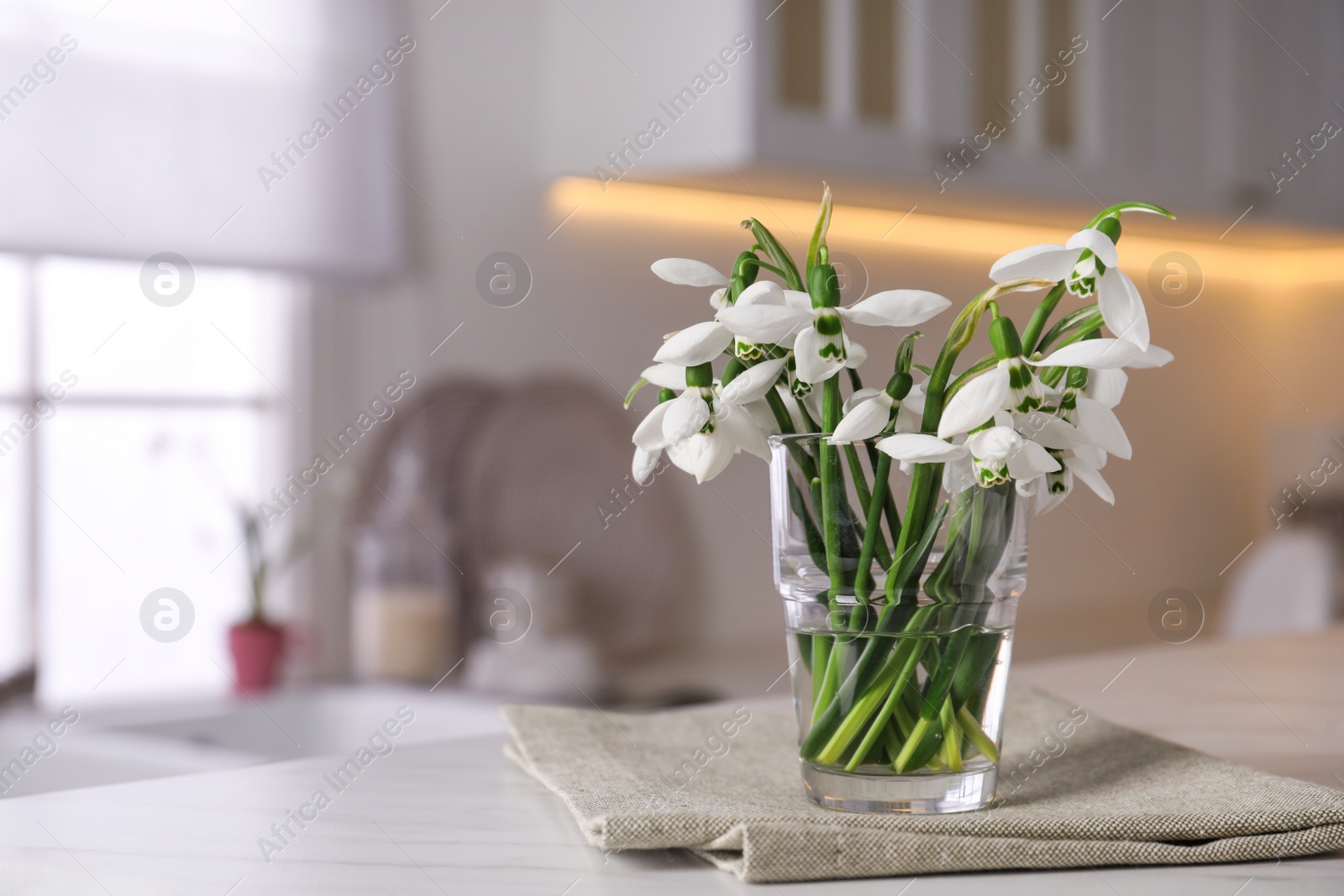 Photo of Beautiful snowdrops in vase on light table. Space for text