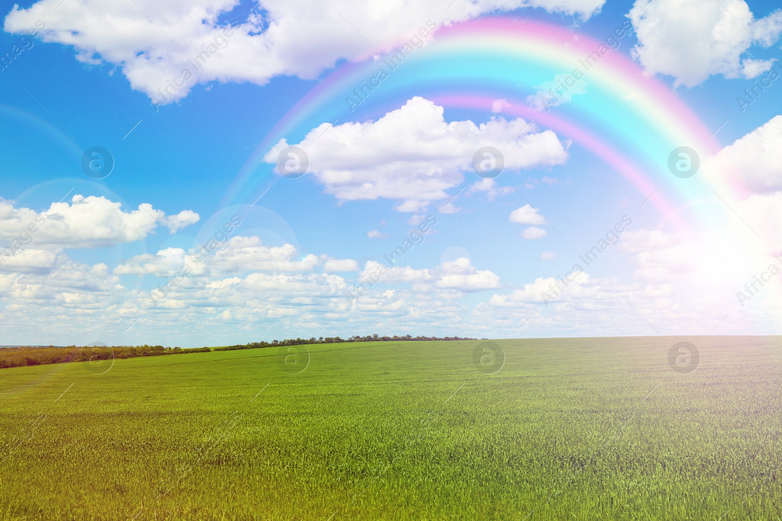 Image of Picturesque view of green meadow and beautiful rainbow in blue sky on sunny day