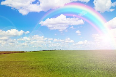 Picturesque view of green meadow and beautiful rainbow in blue sky on sunny day