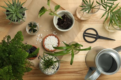 Flat lay composition with different house plants on wooden table