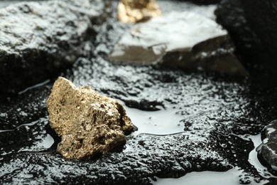 Photo of Shiny gold nugget on wet stones. Space for text