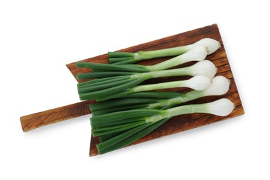 Photo of Whole green spring onions isolated on white, top view