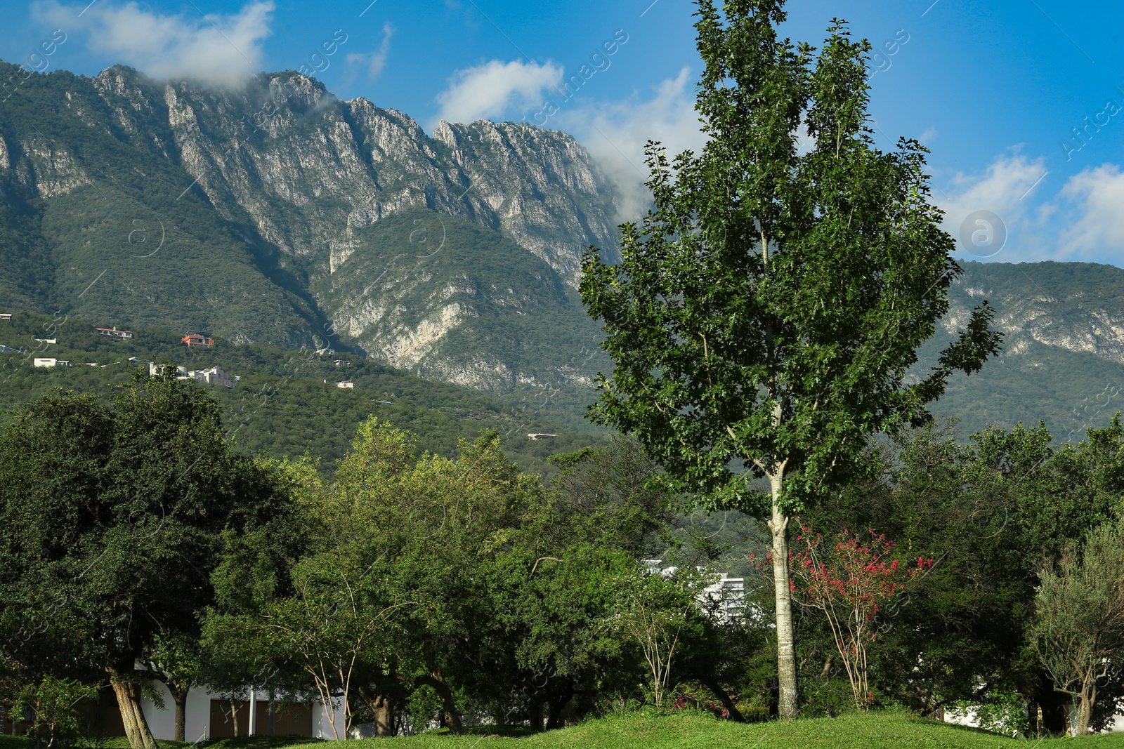 Photo of Beautiful view of park and green mountains on sunny day