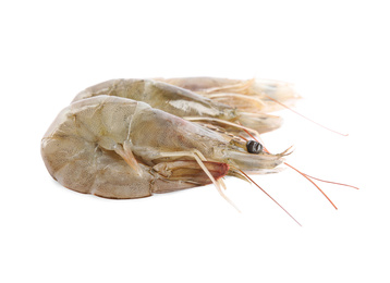 Fresh raw shrimps isolated on white. Healthy seafood