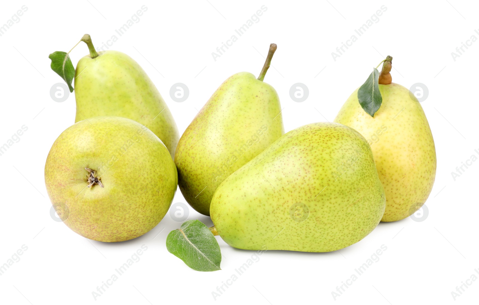 Photo of Many ripe pears with leaves on white background