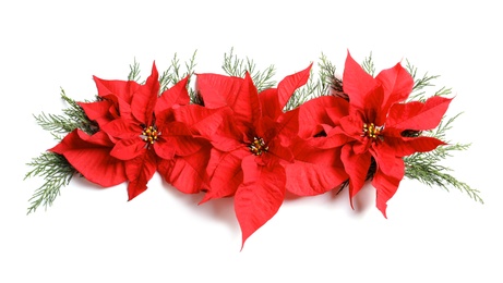 Photo of Flat lay composition with poinsettia on white background. Traditional Christmas flower