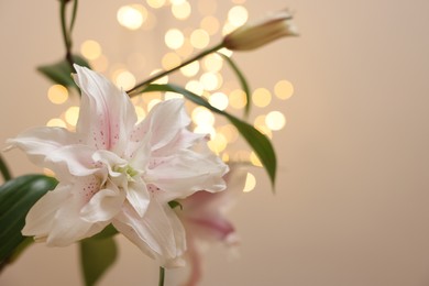 Photo of Beautiful lily flower against beige background with blurred lights, closeup. Space for text