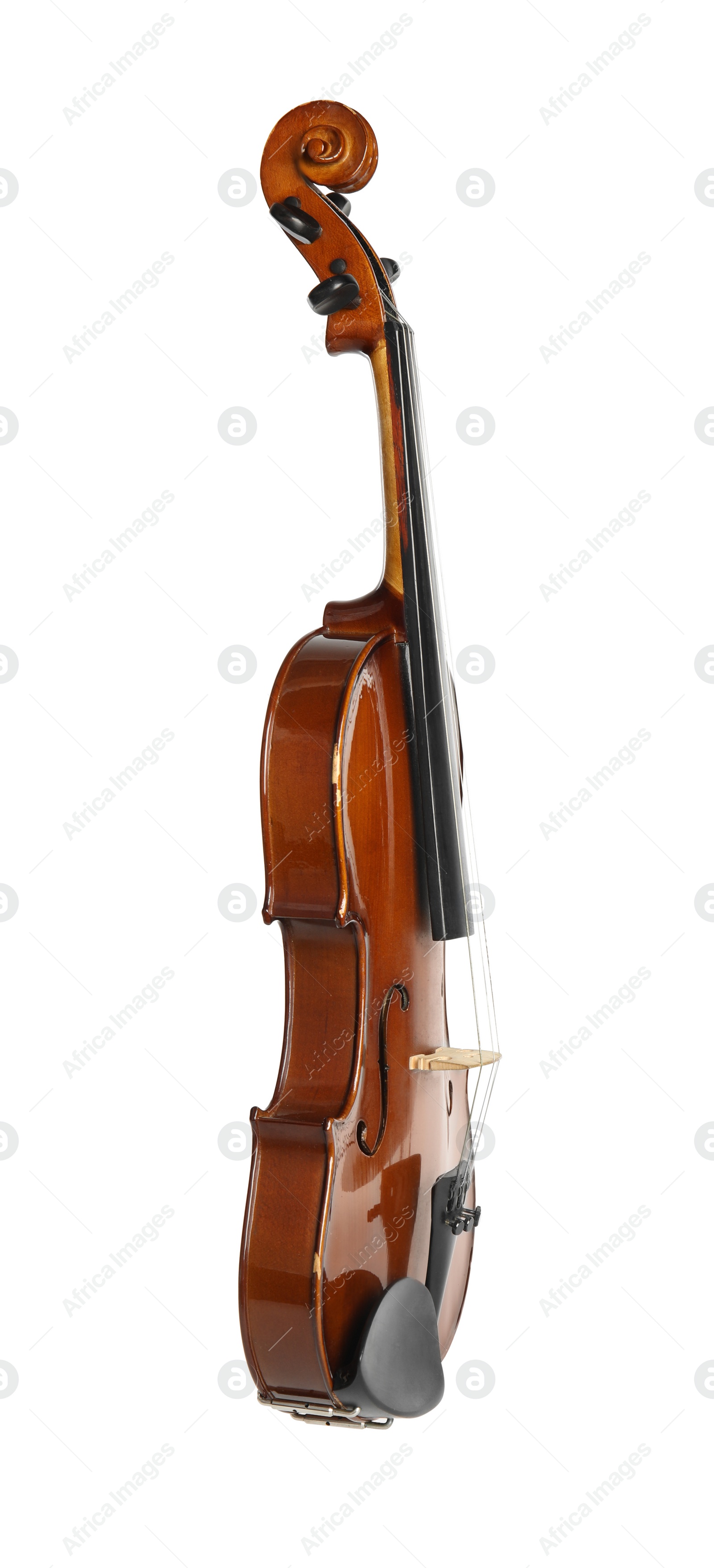 Photo of Classic violin isolated on white. Musical instrument