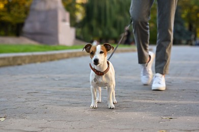 Man with adorable Jack Russell Terrier on city street, closeup. Dog walking