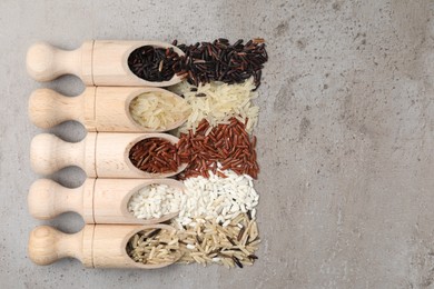 Scoops with different sorts of rice on grey table, flat lay. Space for text