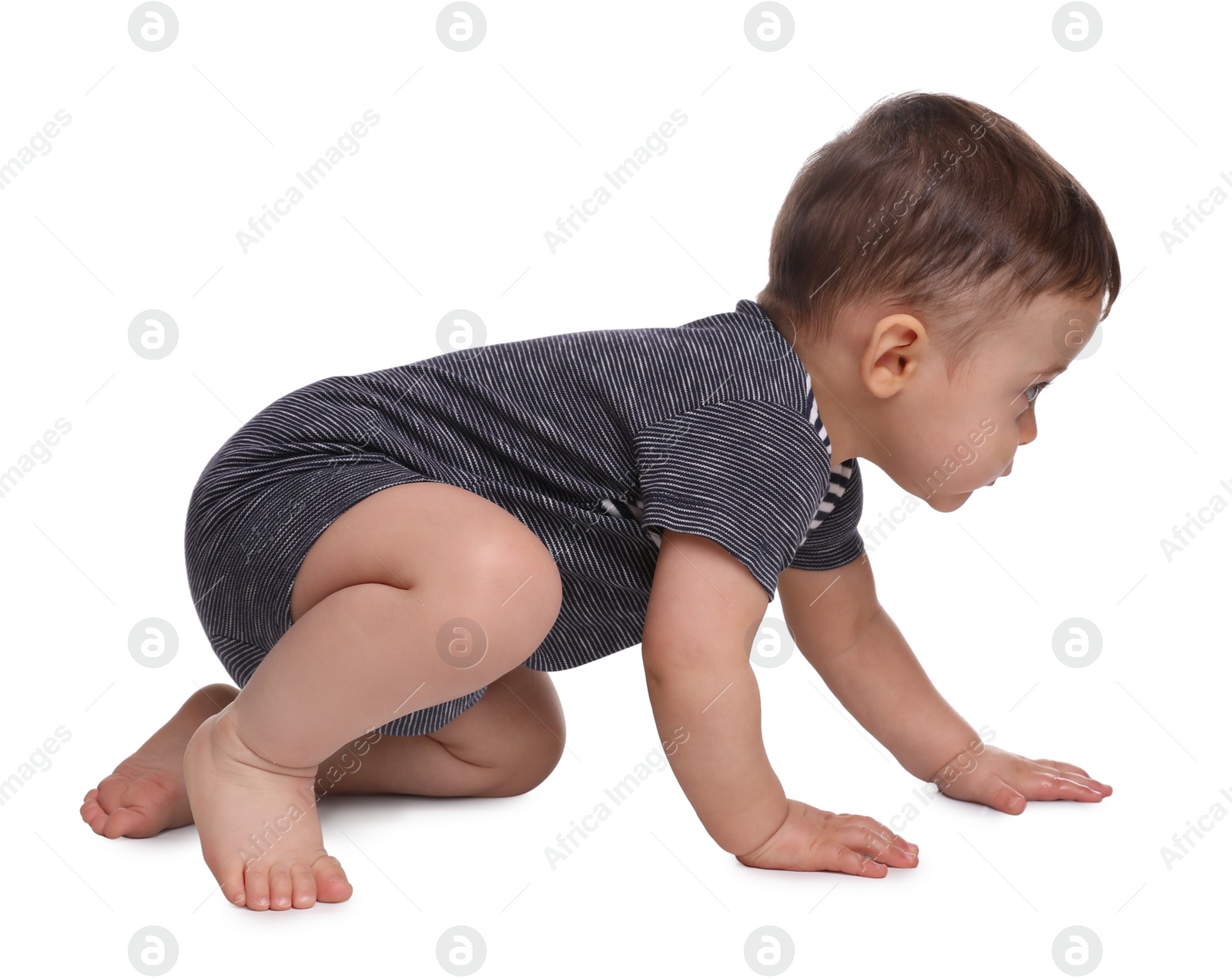 Photo of Cute little baby crawling on white background