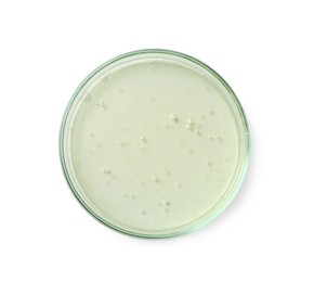 Petri dish with liquid sample on white background, top view