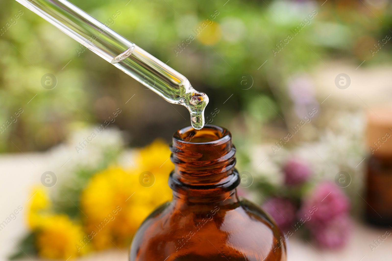 Photo of Dripping essential oil from pipette into bottle on blurred background, closeup