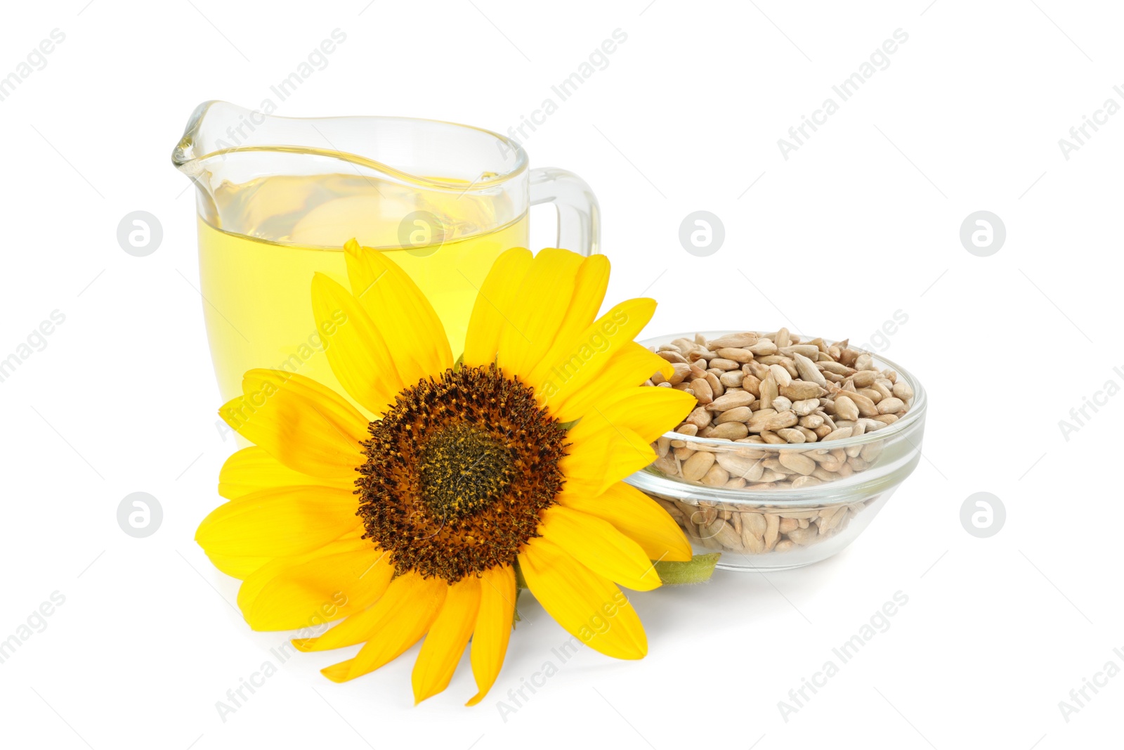 Photo of Sunflower, jug of oil and seeds on white background