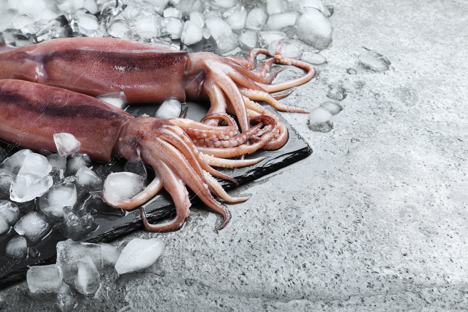 Photo of Fresh raw squids with ice on grey table. Space for text