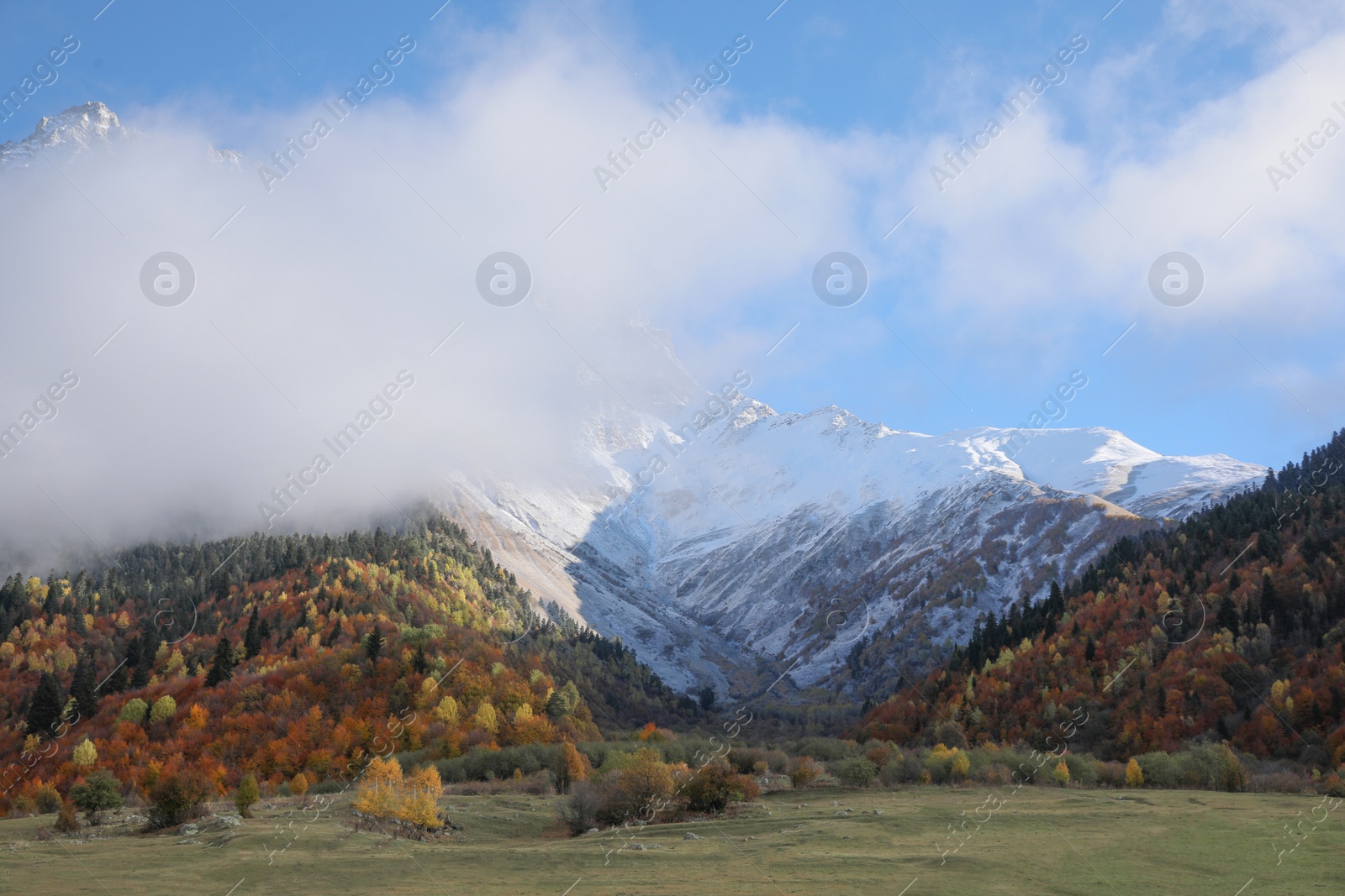 Photo of Picturesque view of mountains with forest and meadow on autumn day